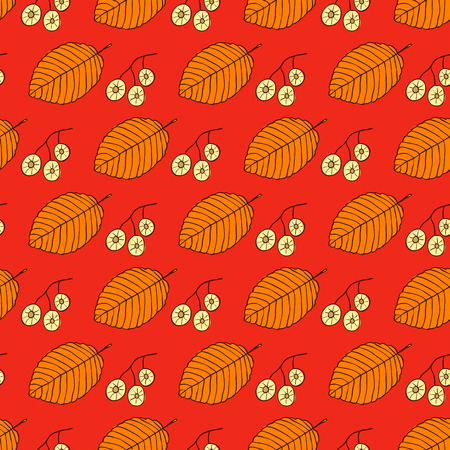 Autumn leaves and seeds on red background. Elm leaves and fruits are hand-drawn. Botanical seamless pattern.のイラスト素材