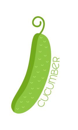 Cucumber on white backgroundのイラスト素材
