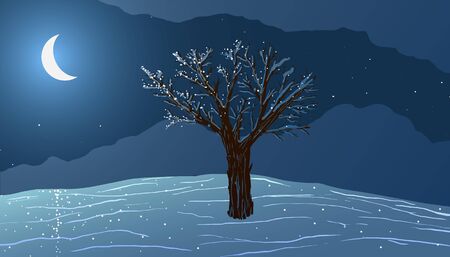 Winter. Night landscape. A tree on the hill in the moonlight.の写真素材