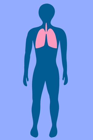 Vector illustration of a man in full growth with marked lungs.のイラスト素材