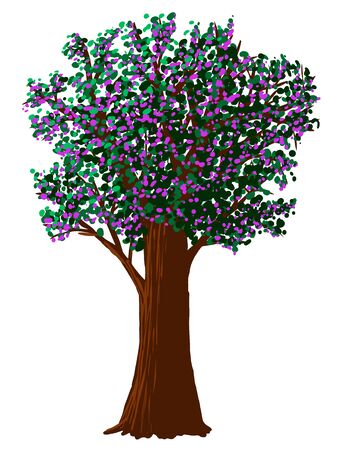 Vector illustration of flowering tree on white backgroundのイラスト素材
