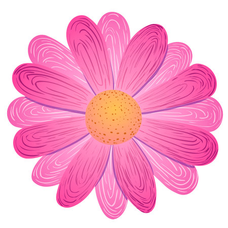 Vector illustration. Pink flower on white background.のイラスト素材