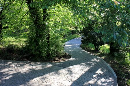Walking path among bushes and trees in park.の写真素材