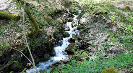 Stepped mountain stream in spring forest.の写真素材