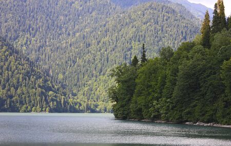 Lake shore in green trees and a high mountain in a blue hazeの写真素材