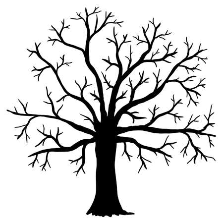 Vector illustration. Silhouette of bare tree on white background.のイラスト素材