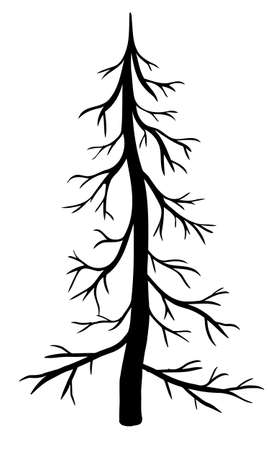 Vector bare fir tree isolated on white backgroundのイラスト素材