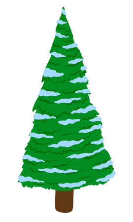 Green fir tree in snow isolated on white backgroundのイラスト素材