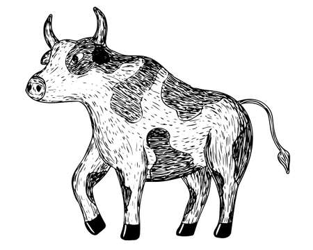 Vector illustration of bull drawn by hand with strokesのイラスト素材