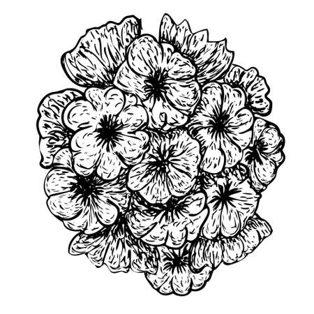 Vector bouquet of flowers drawn by hand in strokesのイラスト素材