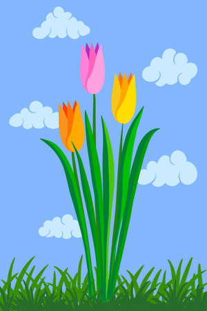 Spring abstract flat illustration. Bouquet of tulips growing from green grass against background of blue sky and cloudsのイラスト素材