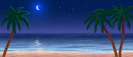 vector calm ocean shore at nightのイラスト素材