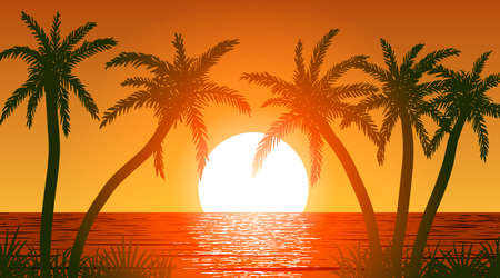 Vector palm trees on ocean shore at sunsetのイラスト素材