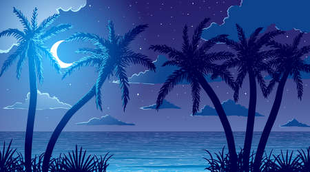 vector calm ocean shore beach and palm trees in grass at nightのイラスト素材
