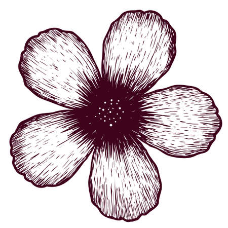 Vector hand drawn flower icon in strokes isolated on white backgroundのイラスト素材