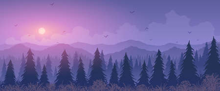 Vector landscape. Silhouette of fir trees among flowering meadow and mountains at sunset.のイラスト素材