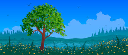 Green tree on grassy flowering river bank among fir forest in vectorのイラスト素材