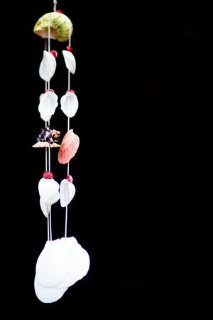 Beautiful pearl beads and seashells on the black backgroundの写真素材