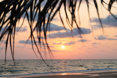 Beautiful pink sunset over sea on the beach with palm leaves, background.の写真素材