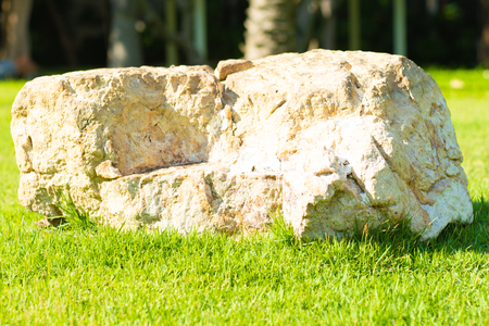 background image Large stone on green grass, copy spaceの写真素材