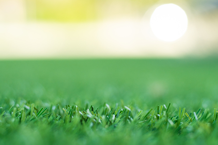 green grass. background texture. fresh spring green grass.  Imitation of the sunの写真素材