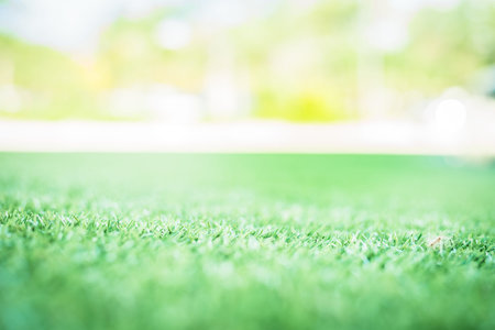 green grass. background texture. fresh spring green grass.  Imitation of the sun