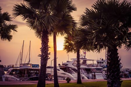 Pattaya, Thailand - May 28, 2019: Luxurious Yachts Docked At The Pier. Tropic resort at sunsetのeditorial素材
