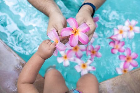 Family Spa. male and baby hands holding pink flower in turquoise pool waterの写真素材