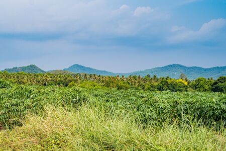 Green mountain landscape Thailand. Green mountain landscape in Thailandの写真素材