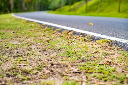 Asphalt road with road markings among the jungle and banana landings, Thailand.