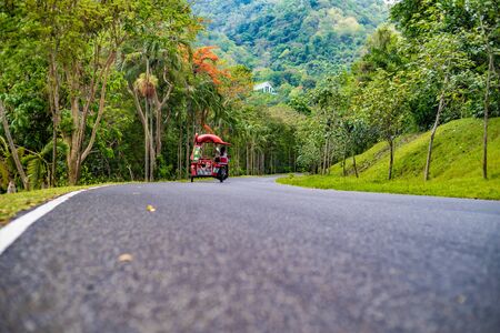 Asphalt road with road markings among the jungle and banana landings, Thailand.の写真素材