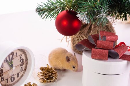 Happy new year 2020. Christmas composition with a rat, a symbol of the year. Rat near the Christmas tree, gift boxes and watchesの写真素材