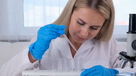 female scientist laboratory assistant uses micropipettes to fill test tubes in a large modern laboratory, for examination under a microscopeの写真素材