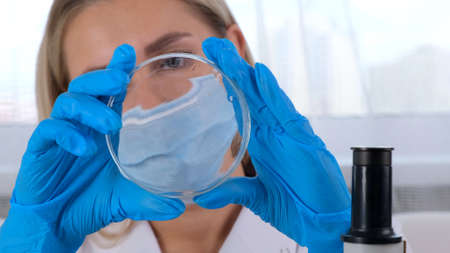 professional scientist research chemist examines a Peri cup for work under a microscope in a laboratory, close upの写真素材