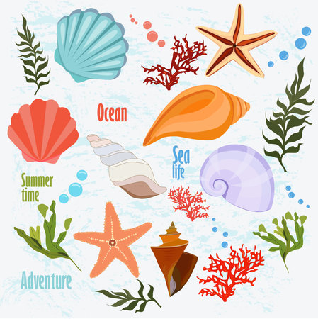 illustration about marine life in the ocean and the seaのイラスト素材
