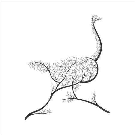 silhouette of ostrich stylized bushes for use as logos on cards, in printing, posters, invitations, web design and other purposes.のイラスト素材