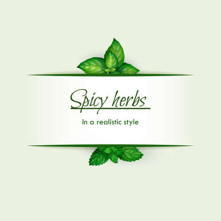 Spicy herbs in a realistic style, frame on backgroundのイラスト素材