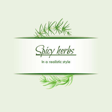 Spicy herbs  in a realistic style, frame on backgroundのイラスト素材
