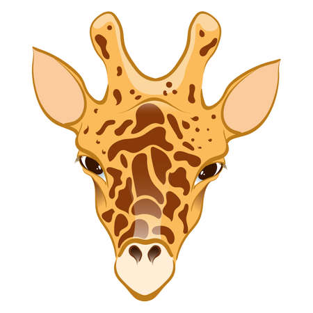 Giraffe in cartoon style. For used for web, wallpaper, printing on the paper.のイラスト素材