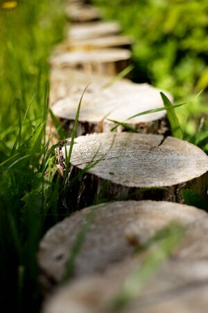 row wooden stumps in the garden. Landshaft designの写真素材