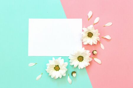 White chrysanthemum with paper on a mint and pink background. Flat lay, top view, copy spaceの写真素材