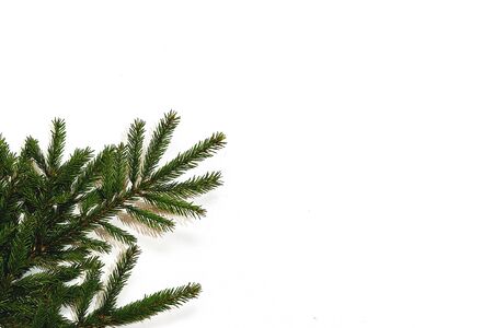 Isolated fir brunch with place for text. New year decoration background, flat lay, top view, horizontal, copy spaceの写真素材