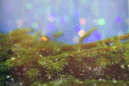 Fir brunch on sparkling background with place for text. New year decoration. Lights. Snowingの写真素材