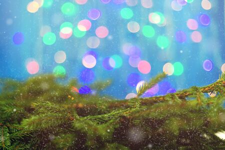 Fir brunch on sparkling background with place for text. New year decoration. New year decoration background, flat lay, top view, horizontal, copy space. Lights. Snowingの写真素材
