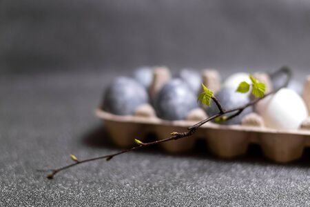Eggs with marble stone effect painted with natural dye carcade flower on grey sparkling backgroundの写真素材