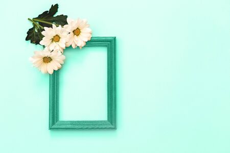White chrysanthemum with wooden green frame and copy space on a mint backgroundの写真素材