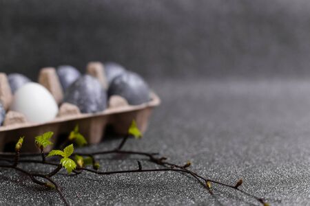 Easter card. Eggs with marble stone effect painted with natural dye carcade flower on grey sparkling background with green spring brunch. Blank space for text. Top view. Flat layの写真素材
