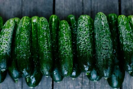 Cucumbers on wooden surface. Seasonal vegetables. Fresh vegetables. Healthy diet.の写真素材