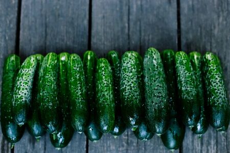 Cucumbers on wooden surface. Seasonal vegetables. Fresh vegetables. Healthy diet. Copy spaceの写真素材