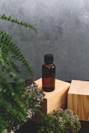 Spa cosmetics in brown glass bottles on natural background of moss, wood, tree bark and fern. Copy space for text. Beauty blogger, salon therapy, branding mockup, minimalism concept.の写真素材